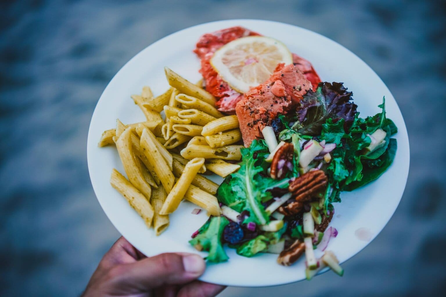 A plate of salmon, pasta and salad on an OARS rafting trip on the Main Salmon River