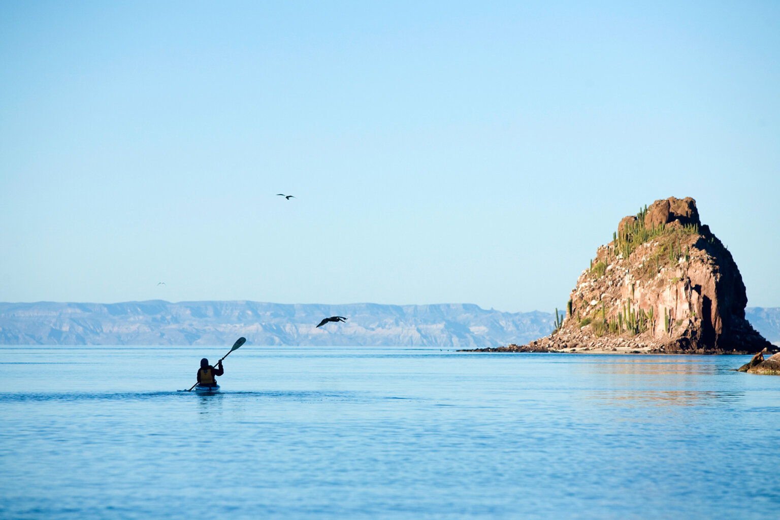 A solo kayaker paddles on the ocean as birds fly above them in Baja Mexico.