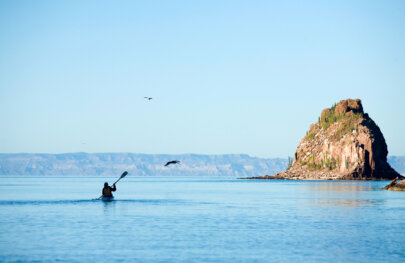 A solo kayaker paddles on the ocean as birds fly above them in Baja Mexico.