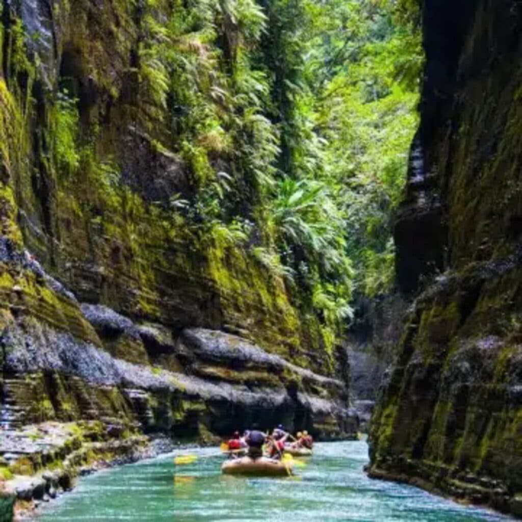 Rocks and rainforest in Fiji.