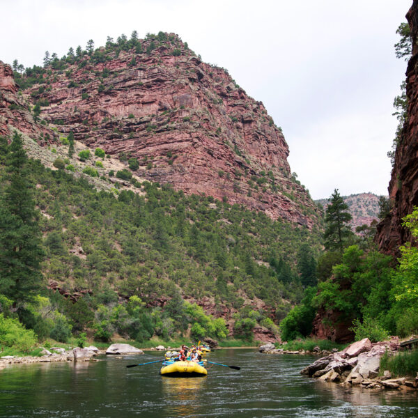 Scenic shot of yellow rafts coming down the Green River surounded by lush greenery and canyon walls