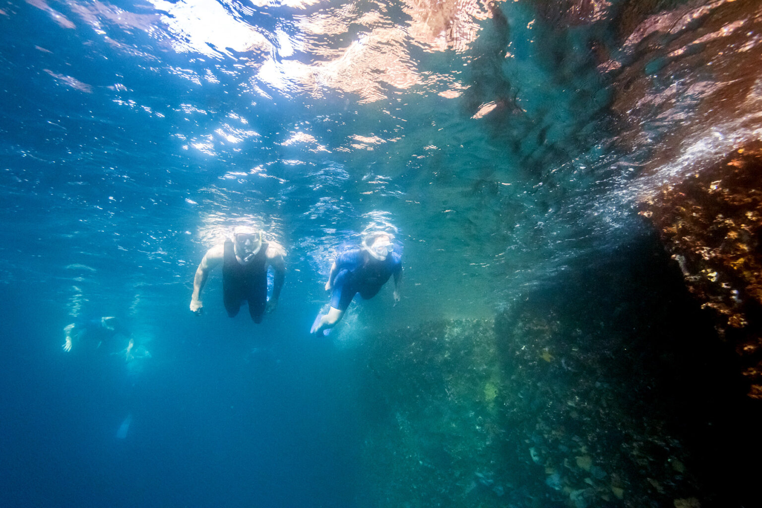 Underwater shot of three snorkelers swimming next to a coral reef in the Galapagos.