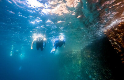 Underwater shot of three snorkelers swimming next to a coral reef in the Galapagos.