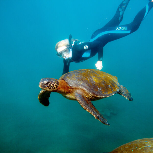 A woman in a scuba suit and snorkeling mask swims under the ocean next to a sea turtle.