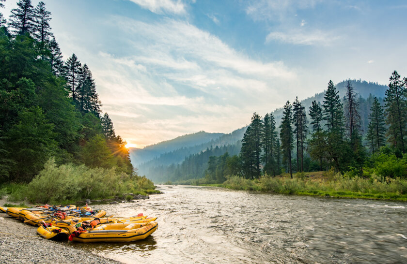 Several yellow rafts tied up at the shoreline at sunset with verdant forested hills and the Lower Klamath River as the backdrop.