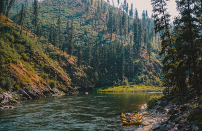 A serene river scene with several yellow rafts on a sandy bank, surrounded by lush green hills and tall trees under a hazy sky.
