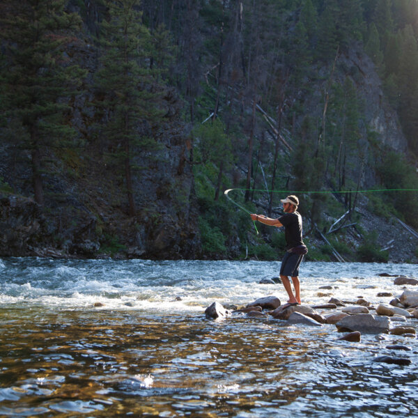 A man fly fishes from a rock at the edge of the Middle Fork of the Salmon River.