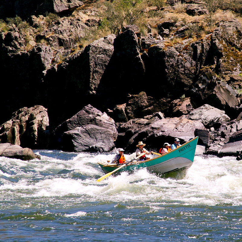 A dory rowed by a guide bounces through a section of whitewater as three guests hold on for the ride.