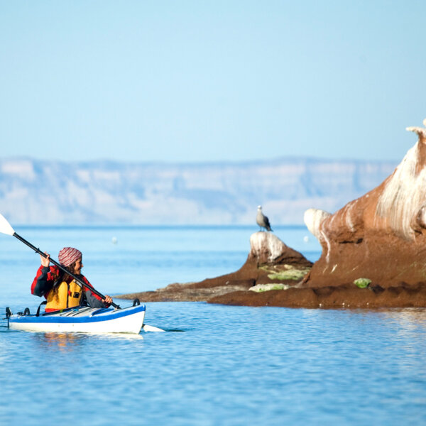 A woman kayaks on the Sea of Cortez in Baja Mexico and looks at a seagull standing on a nearby rock formation.