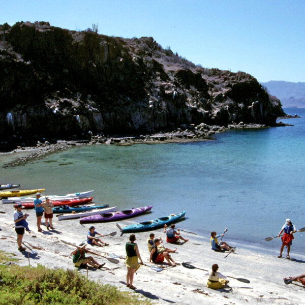 A line of sea kayaks pulled up on the beach as paddlers stand or sit on the beach watching a guide give an instructional talk.